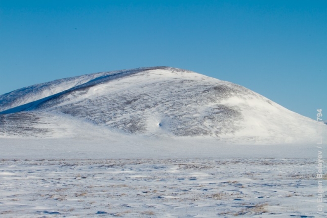 Гора с пупком по дороге в Биллингс